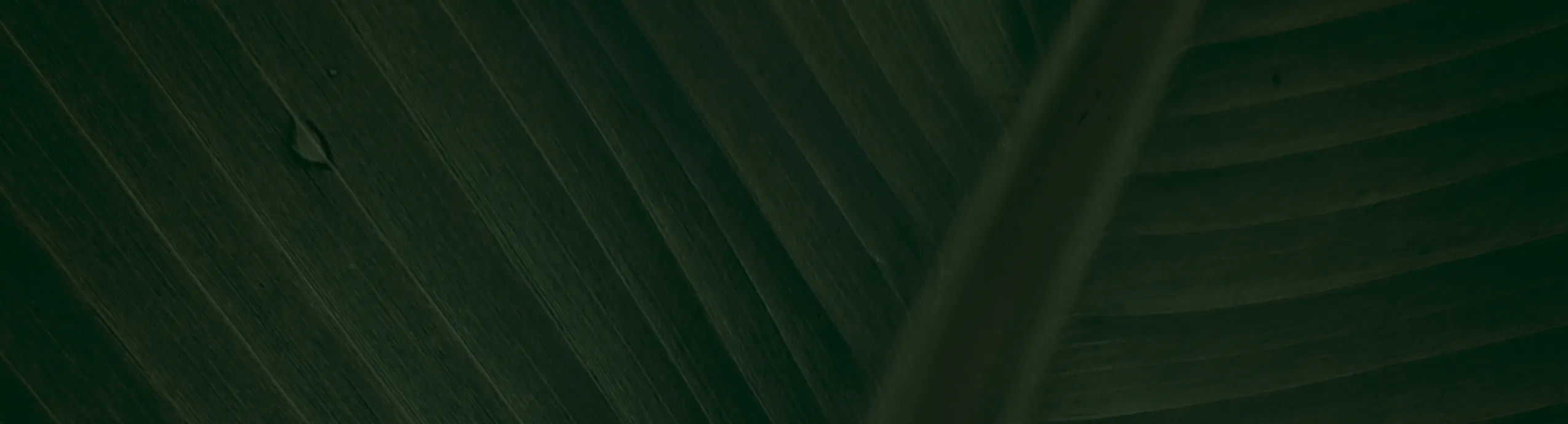 Keratina Paso 2 - Bio keratolizz